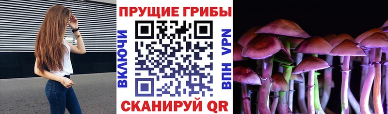площадка наркотические препараты  Лаишево  MEGA ONION  Галлюциногенные грибы MAGIC MUSHROOMS  хочу  